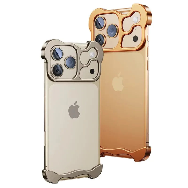 IRREGULAR METAL FRAME CASE